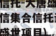 国企信托-大唐盛世2号政信集合信托计划(大唐盛世项目)