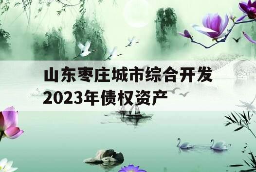 山东枣庄城市综合开发2023年债权资产