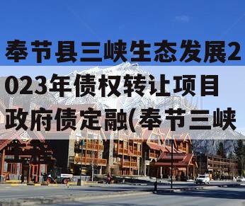 奉节县三峡生态发展2023年债权转让项目政府债定融(奉节三峡工程)
