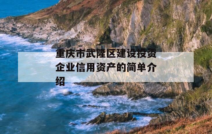重庆市武隆区建设投资企业信用资产的简单介绍