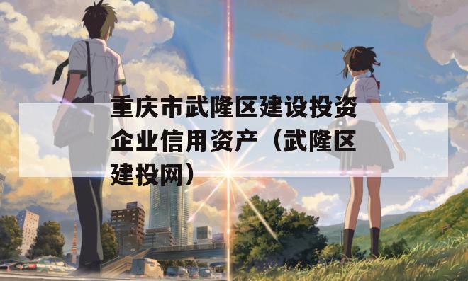 重庆市武隆区建设投资企业信用资产（武隆区建投网）