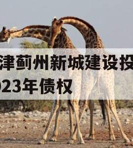 天津蓟州新城建设投资2023年债权