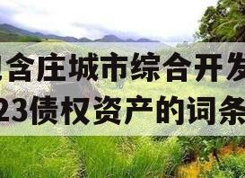 包含庄城市综合开发2023债权资产的词条