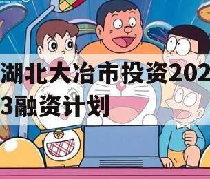 湖北大冶市投资2023融资计划