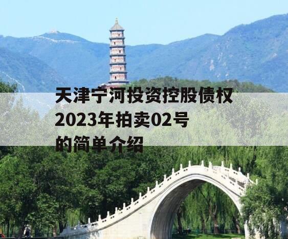 天津宁河投资控股债权2023年拍卖02号的简单介绍