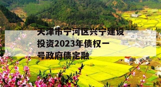 天津市宁河区兴宁建设投资2023年债权一号政府债定融