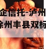 国央企信托-泸州地级市+徐州丰县双标债信托