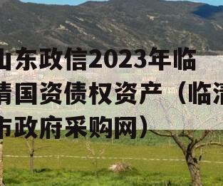 山东政信2023年临清国资债权资产（临清市政府采购网）