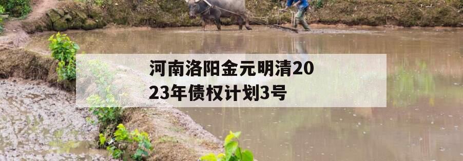 河南洛阳金元明清2023年债权计划3号