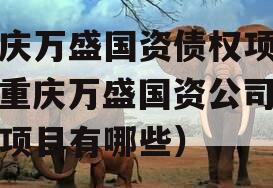 重庆万盛国资债权项目（重庆万盛国资公司债权项目有哪些）