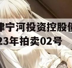 天津宁河投资控股债权2023年拍卖02号