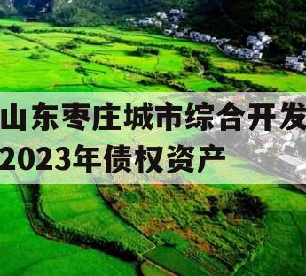 山东枣庄城市综合开发2023年债权资产
