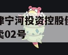 天津宁河投资控股债权拍卖02号