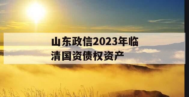 山东政信2023年临清国资债权资产