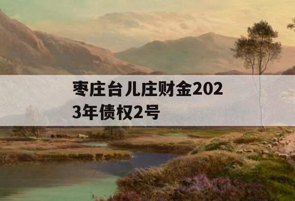 枣庄台儿庄财金2023年债权2号