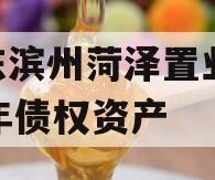 山东滨州菏泽置业2023年债权资产