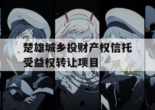 楚雄城乡投财产权信托受益权转让项目