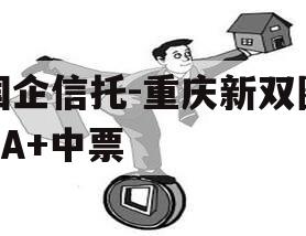 国企信托-重庆新双圈AA+中票