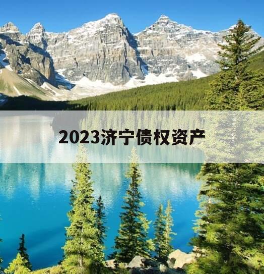 2023济宁债权资产