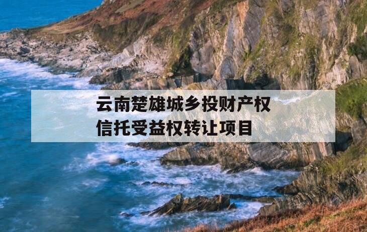 云南楚雄城乡投财产权信托受益权转让项目