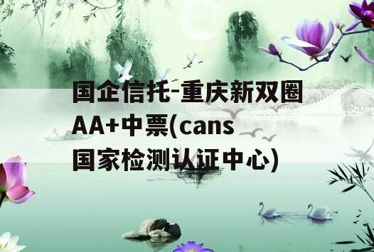 国企信托-重庆新双圈AA+中票(cans国家检测认证中心)