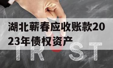 湖北蕲春应收账款2023年债权资产