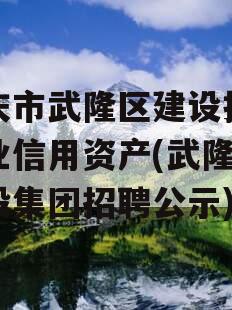重庆市武隆区建设投资企业信用资产(武隆区建投集团招聘公示)