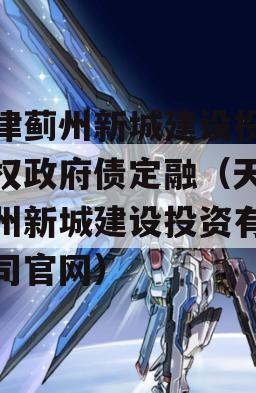 天津蓟州新城建设投资债权政府债定融（天津蓟州新城建设投资有限公司官网）