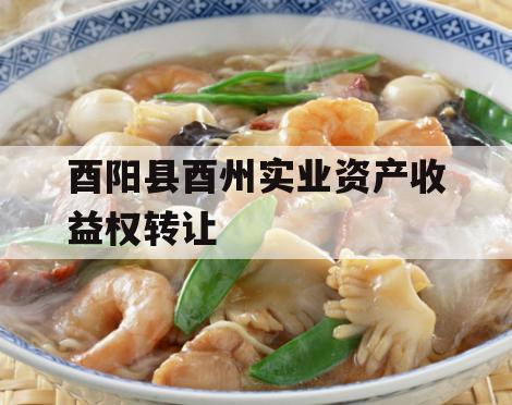 酉阳县酉州实业资产收益权转让