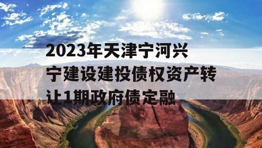 2023年天津宁河兴宁建设建投债权资产转让1期政府债定融