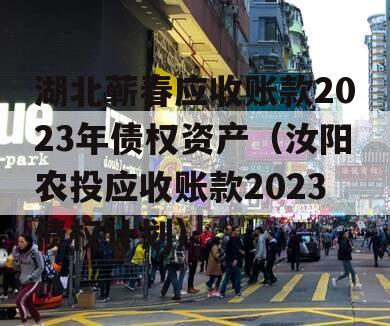 湖北蕲春应收账款2023年债权资产（汝阳农投应收账款2023债权计划）