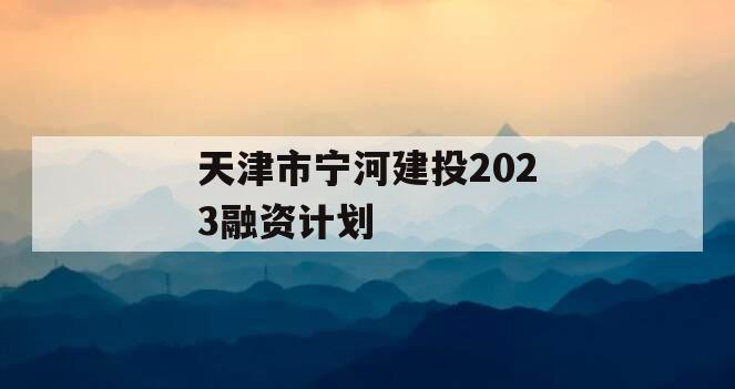 天津市宁河建投2023融资计划