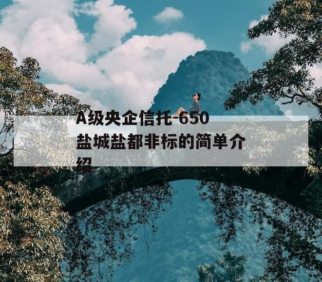 A级央企信托-650盐城盐都非标的简单介绍