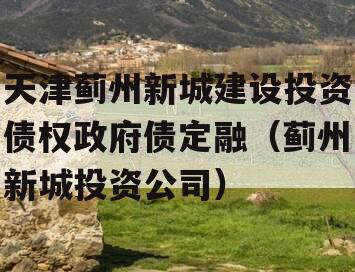 天津蓟州新城建设投资债权政府债定融（蓟州新城投资公司）