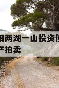 简阳两湖一山投资债权资产拍卖
