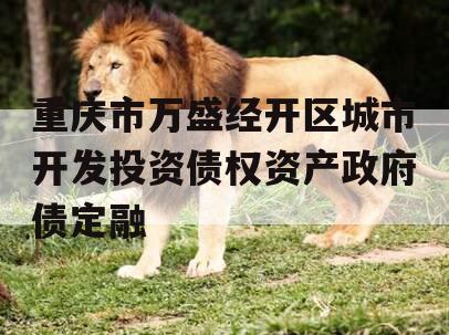 重庆市万盛经开区城市开发投资债权资产政府债定融