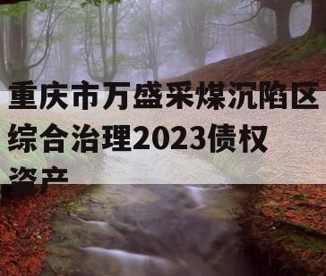 重庆市万盛采煤沉陷区综合治理2023债权资产