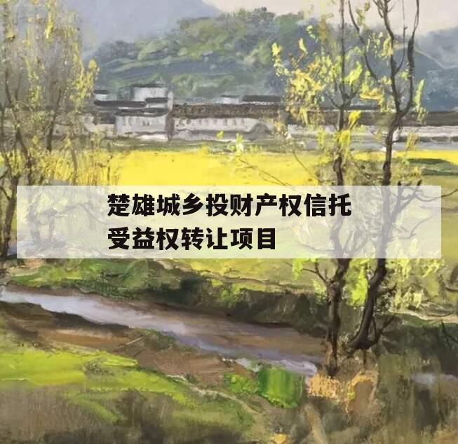 楚雄城乡投财产权信托受益权转让项目