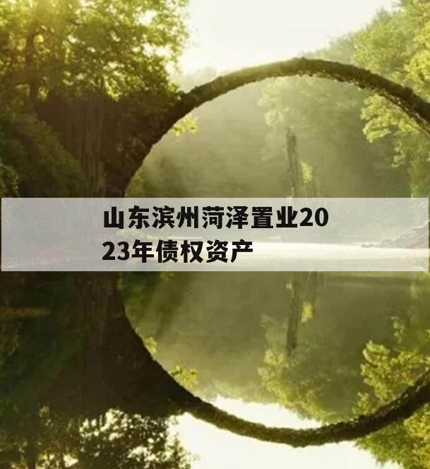 山东滨州菏泽置业2023年债权资产