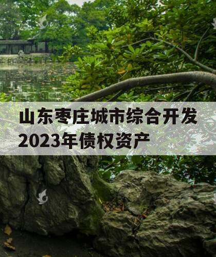 山东枣庄城市综合开发2023年债权资产