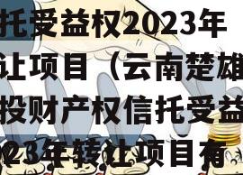 云南楚雄城乡投财产权信托受益权2023年转让项目（云南楚雄城乡投财产权信托受益权2023年转让项目有哪些）