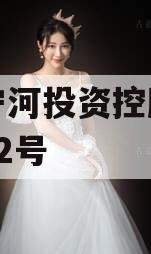 天津宁河投资控股债权拍卖02号