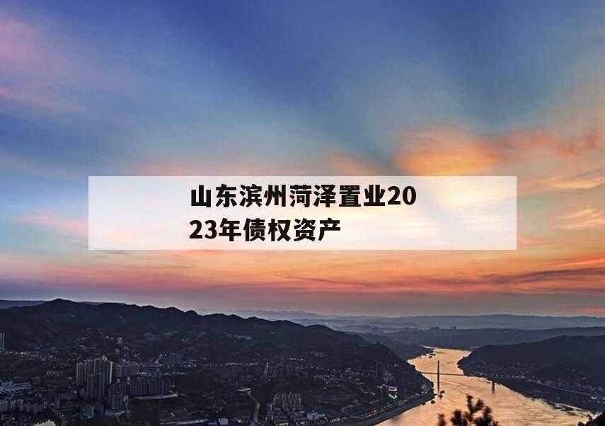 山东滨州菏泽置业2023年债权资产