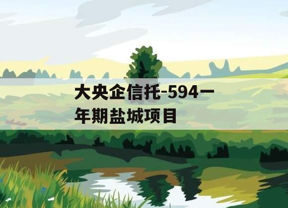大央企信托-594一年期盐城项目