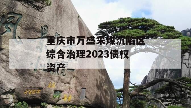 重庆市万盛采煤沉陷区综合治理2023债权资产