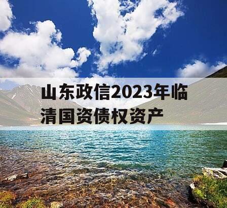 山东政信2023年临清国资债权资产