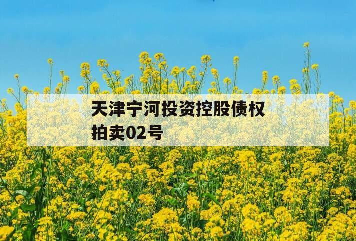 天津宁河投资控股债权拍卖02号