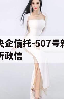 央企信托-507号新沂政信