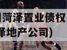 滨州菏泽置业债权资产(菏泽地产公司)