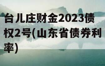 台儿庄财金2023债权2号(山东省债券利率)